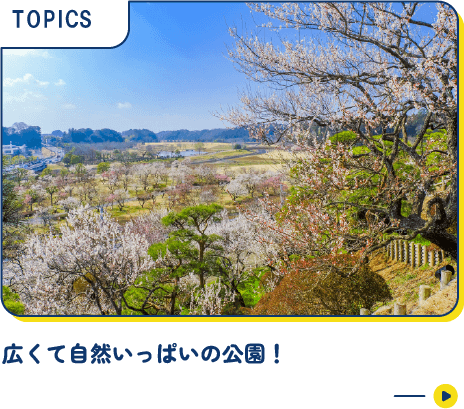 広くて自然いっぱいの公園！