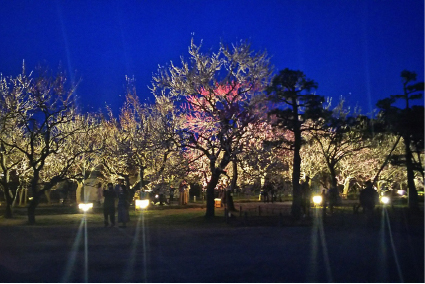 日本三名園 偕楽園