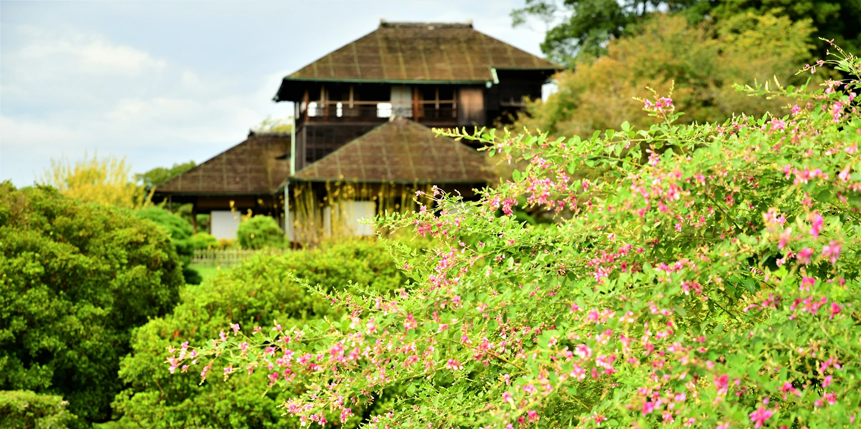 西尾瑞豊 食籠　偕楽園 茶道具 菓子器 喰籠 寿づか焼き 丸型 染付山水 惺斎好写し 西尾