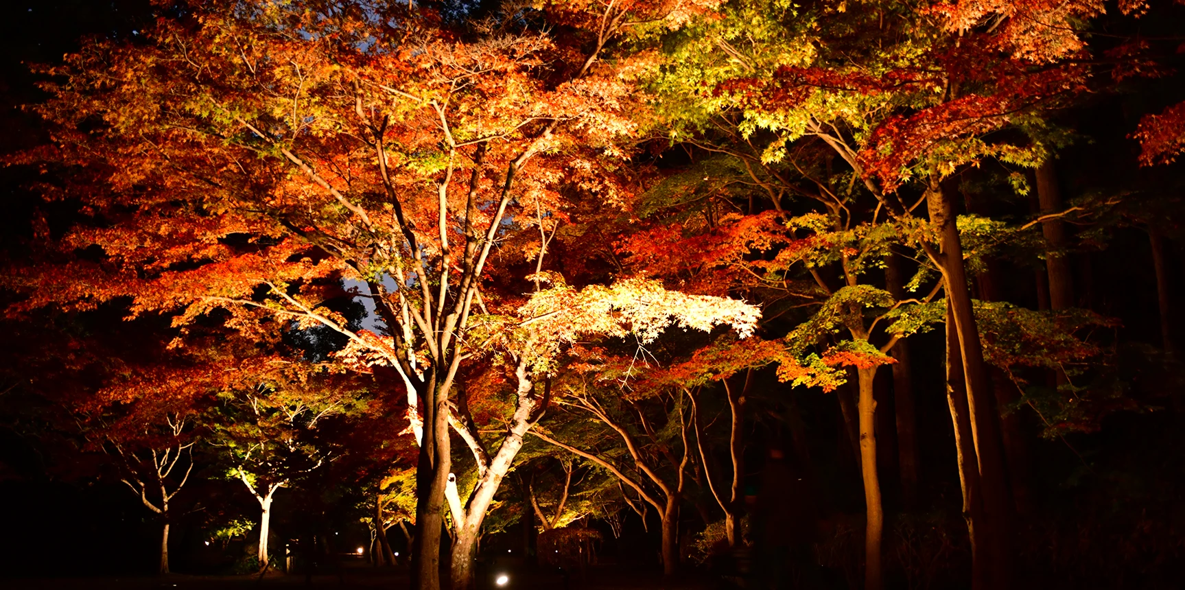 西尾瑞豊 食籠　偕楽園 茶道具 菓子器 喰籠 寿づか焼き 丸型 染付山水 惺斎好写し 西尾