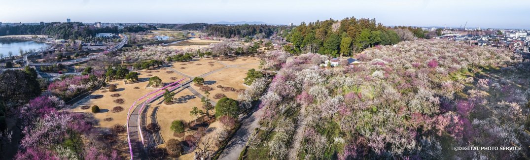 フォトライブラリー｜日本三名園 偕楽園